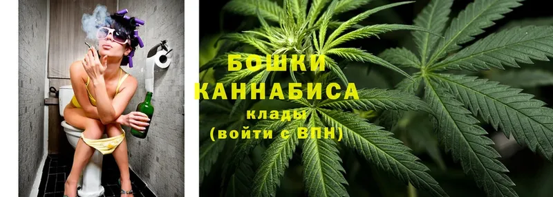 Конопля Bruce Banner  Кириши 